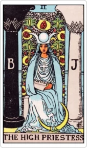 card-6