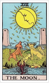 card-15